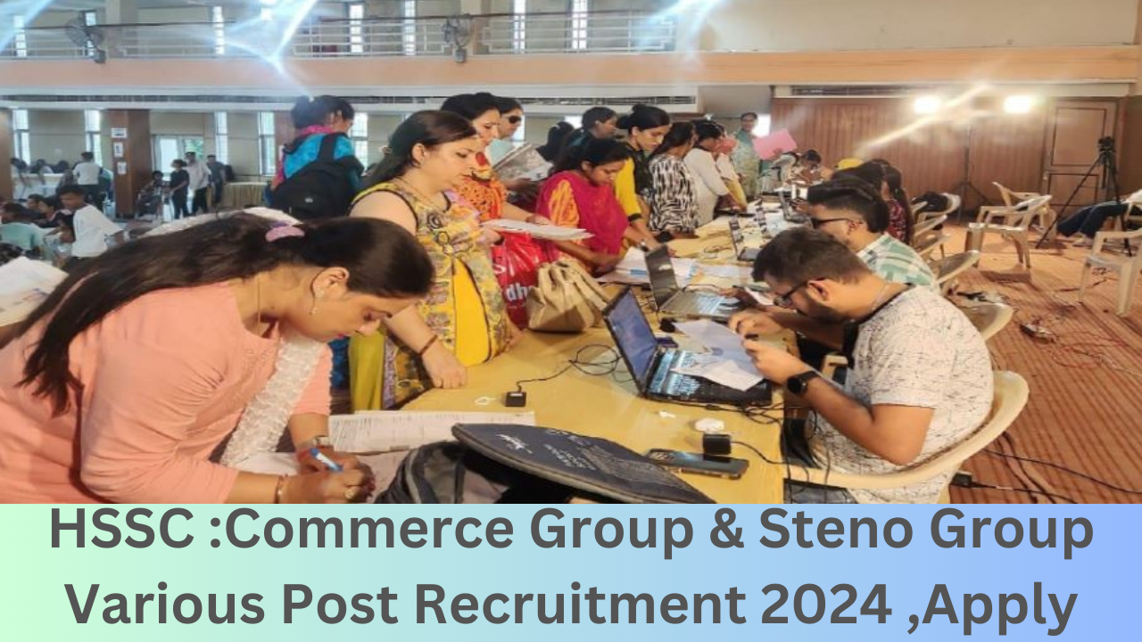 HSSC Commerce Group & Steno Group Various Post Recruitment 2024 ,Apply Online